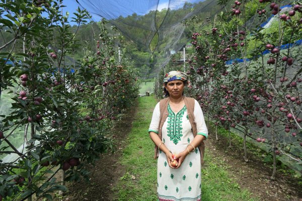 Coca-Cola India Foundation Marks 7 Years of Project Unnati Apple in Uttarakhand
